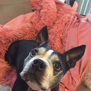 Meet your Posher, Julie